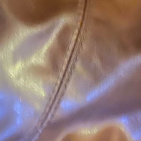 Capezio Brown Purse with Gold Accents - Picture 7 of 10